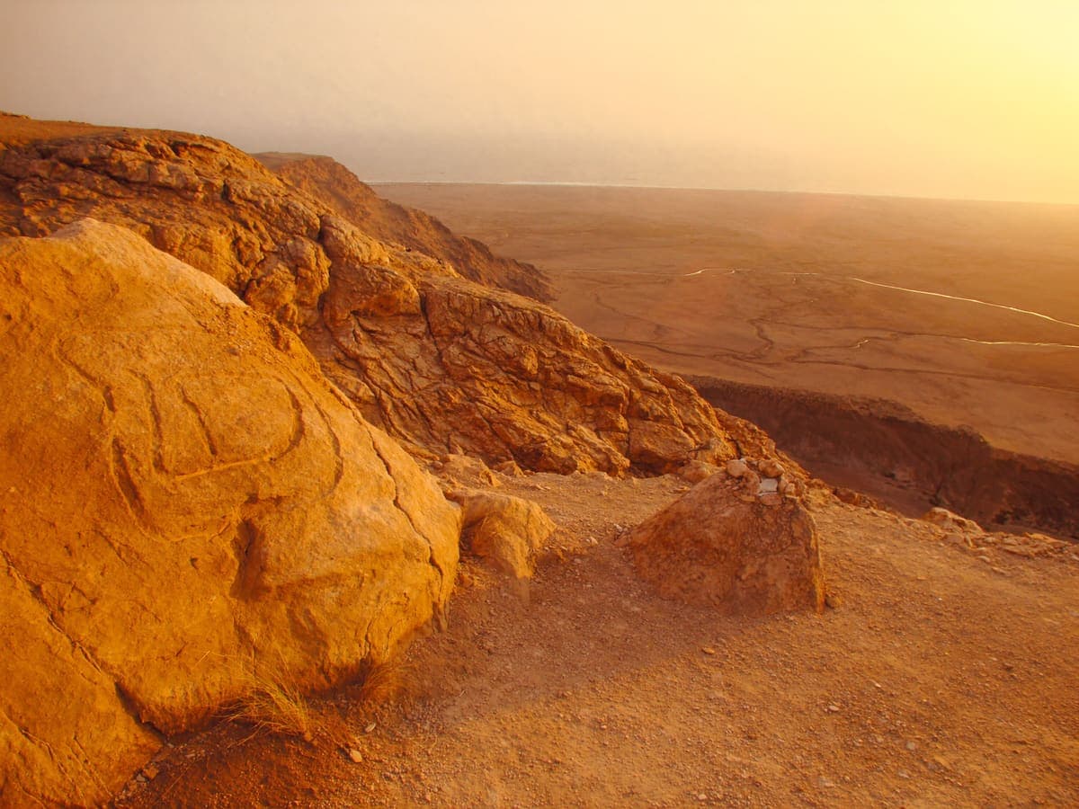 Gobustan kaya resimleri