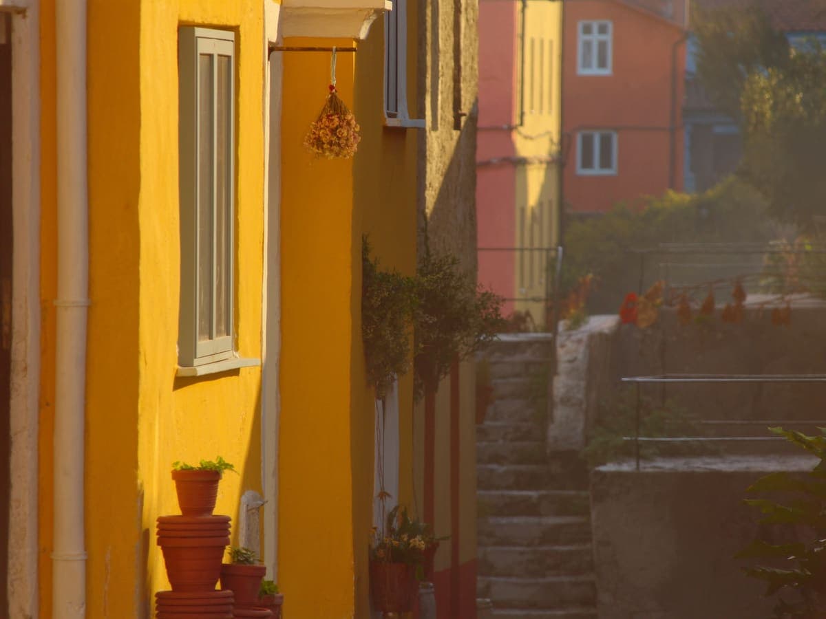 Dario Moreno Street